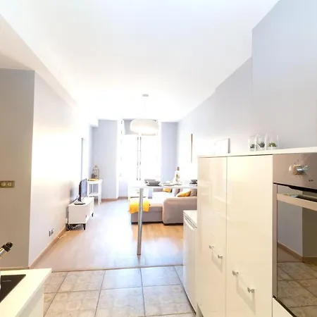 45m² Vue Sur La 公寓 *